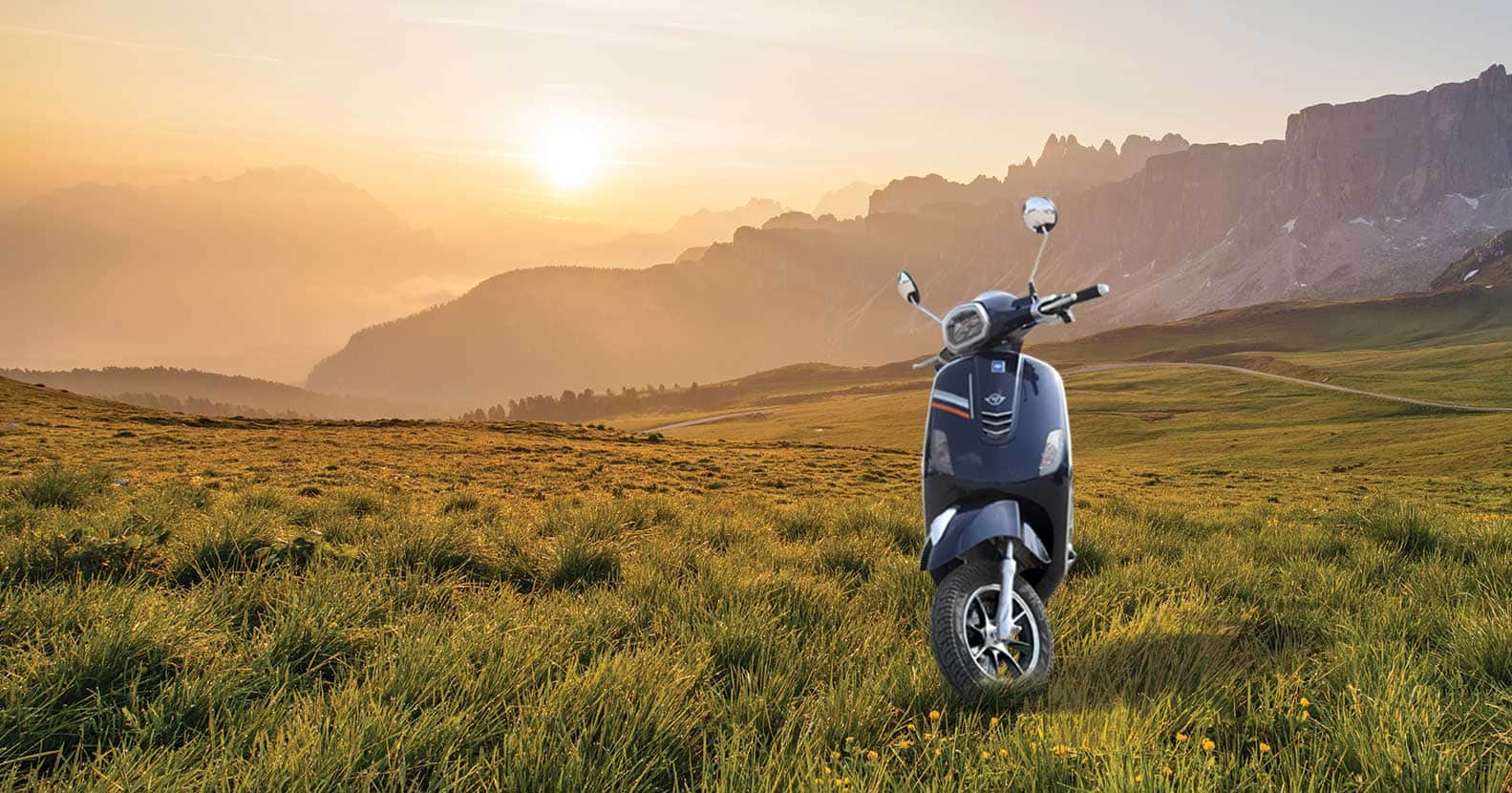 Fidus Electric Flutter