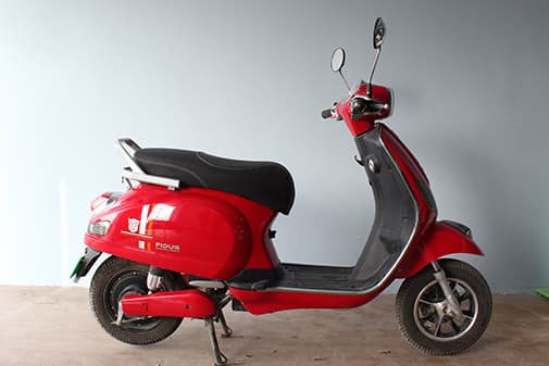 Fidus Electric Flutter