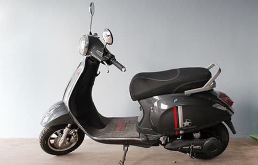 Fidus Electric Flutter