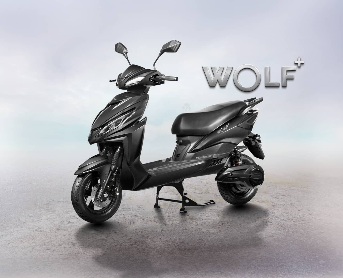 Joy e-bike Wolf plus